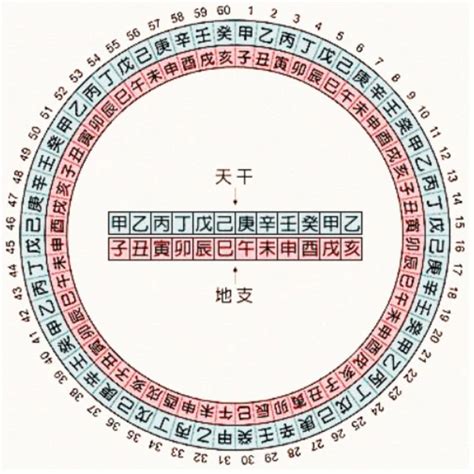 丁五行|十天干、十二地支与五行 、六十甲子基本知识